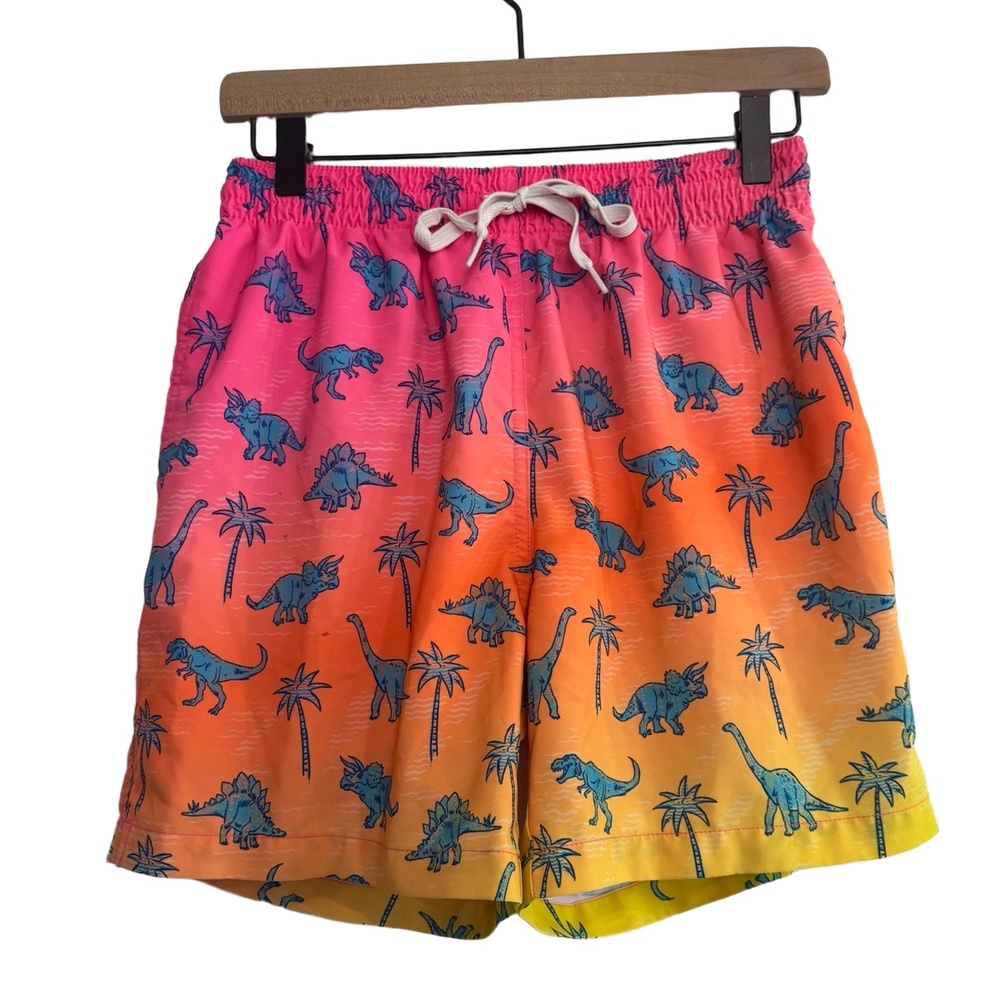 Chubbies Swim Trunks Pink Orange Yellow Gradient Blue Dinosaurs Mesh Lining Sz M